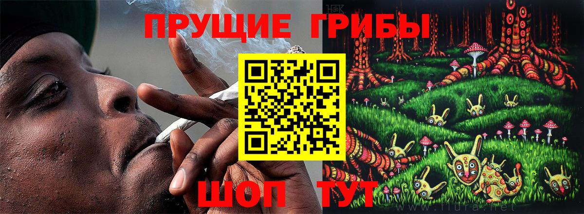Новосибирск  Псилоцибиновые грибы Cubensis  Вход с VPN 