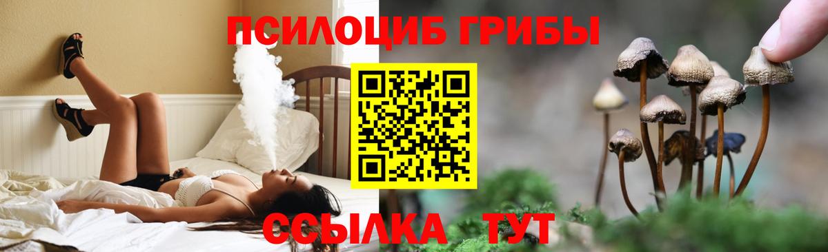 Псилоцибиновые грибы ЛСД Новосибирск